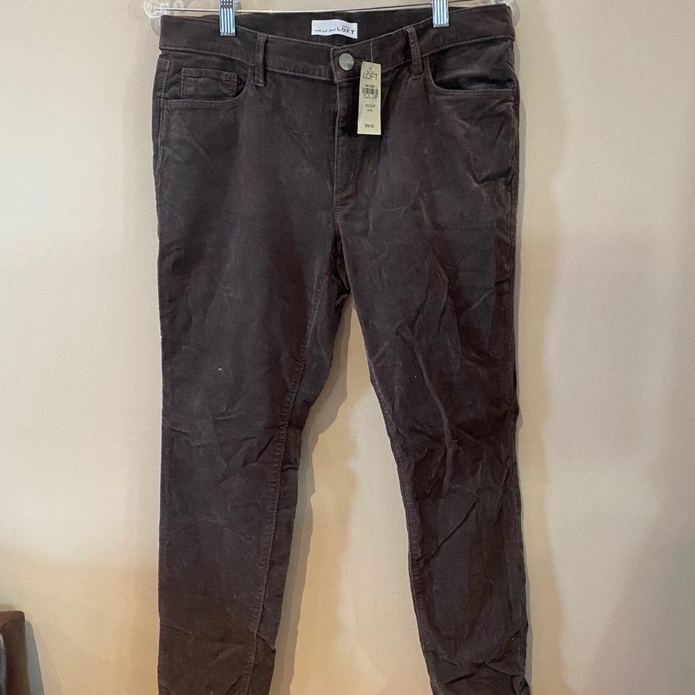 LOFT velvet pants NWT
